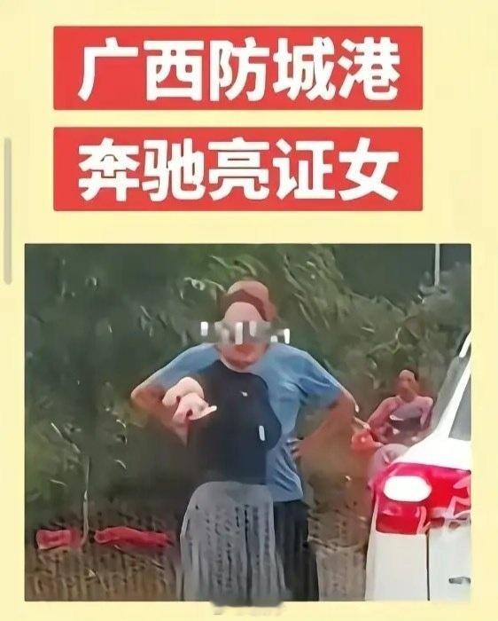 【亮证女事件六名公职人员被处理】事件处理结果：1.杨某鹏（边境派出所民警）