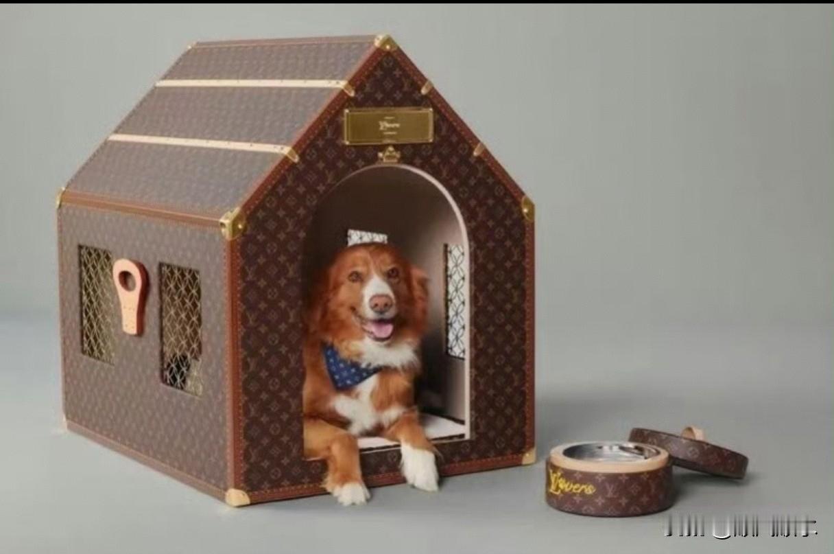 看到50万的狗屋，普通人惊叫“能买套房了”，铲屎官却觉得给“家人”买房值得。