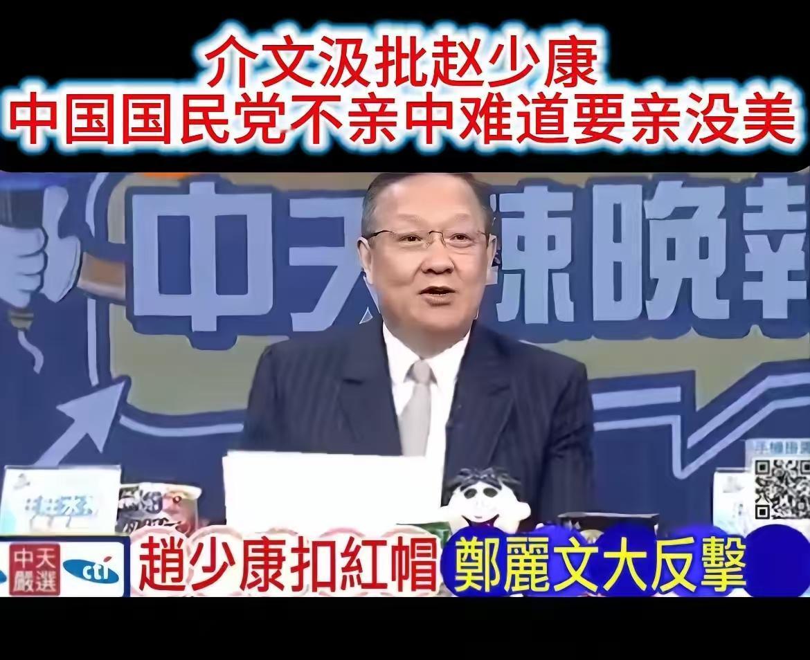 针对赵少康要求郑丽文，清除党内“亲中”势力的说法，介文汲公然谴责，表示中国国民党