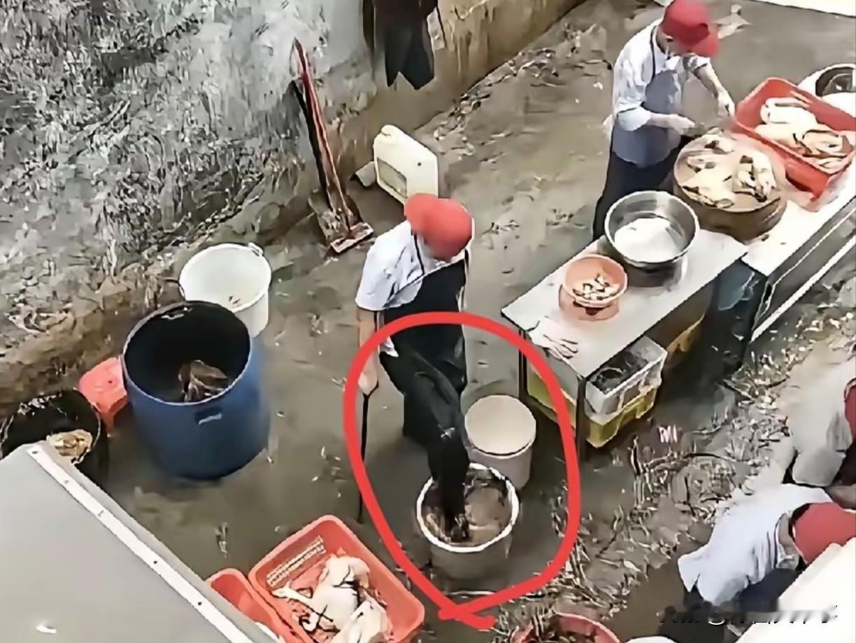 老莫能做出这种事一点都不奇怪！这两天网上又传出一段视频，是老莫鸡煲后厨宰鸡的