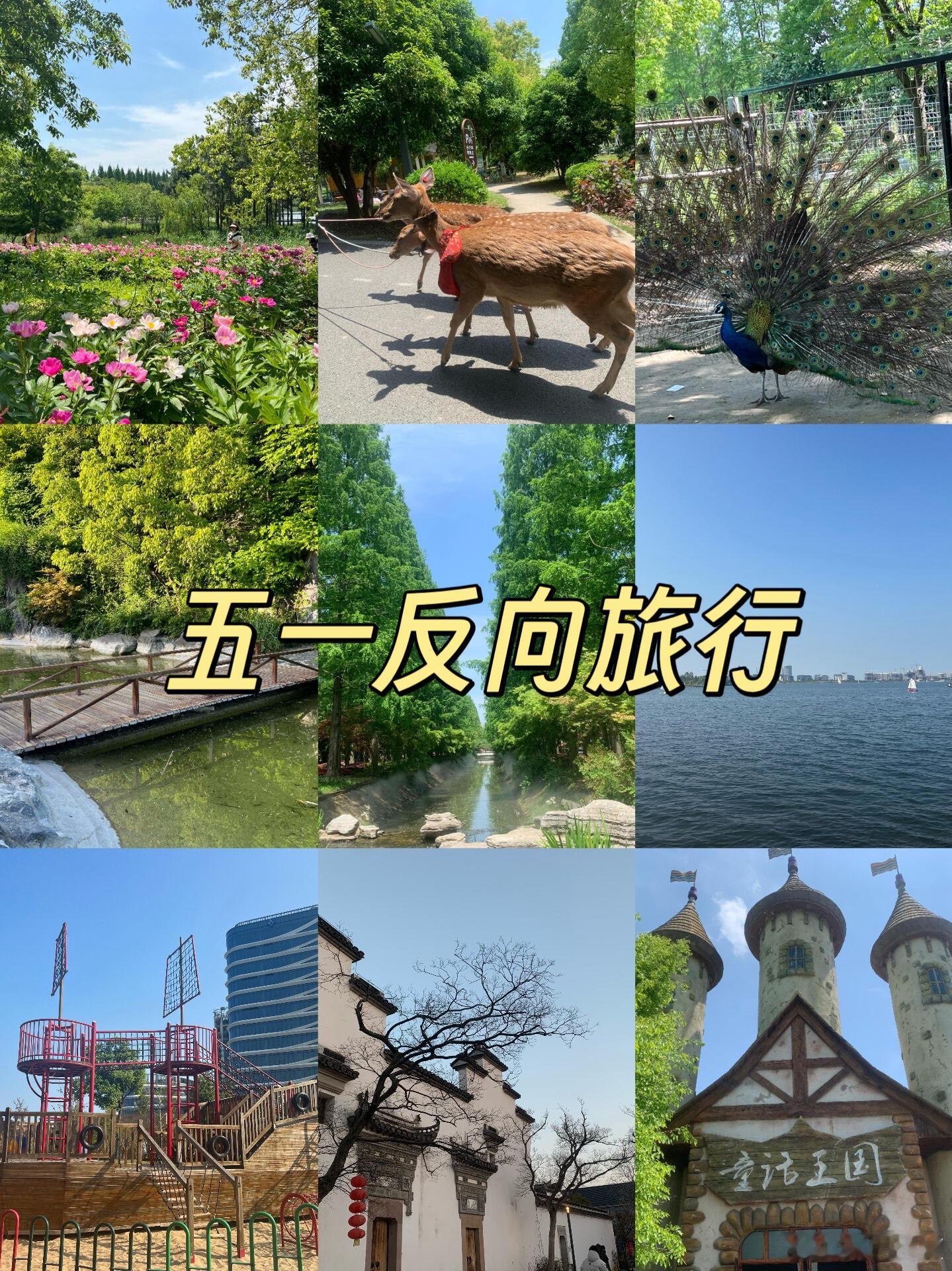 在上海被反向种草的一天这些地方之所以人相对较少，是因为远离市区比较远。东平国