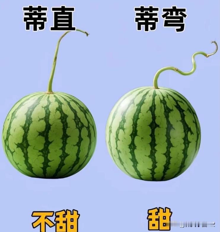 西瓜界的"读心术"：老瓜农绝不外传的三秒鉴瓜秘笈——你以为挑西瓜靠拍？错，靠