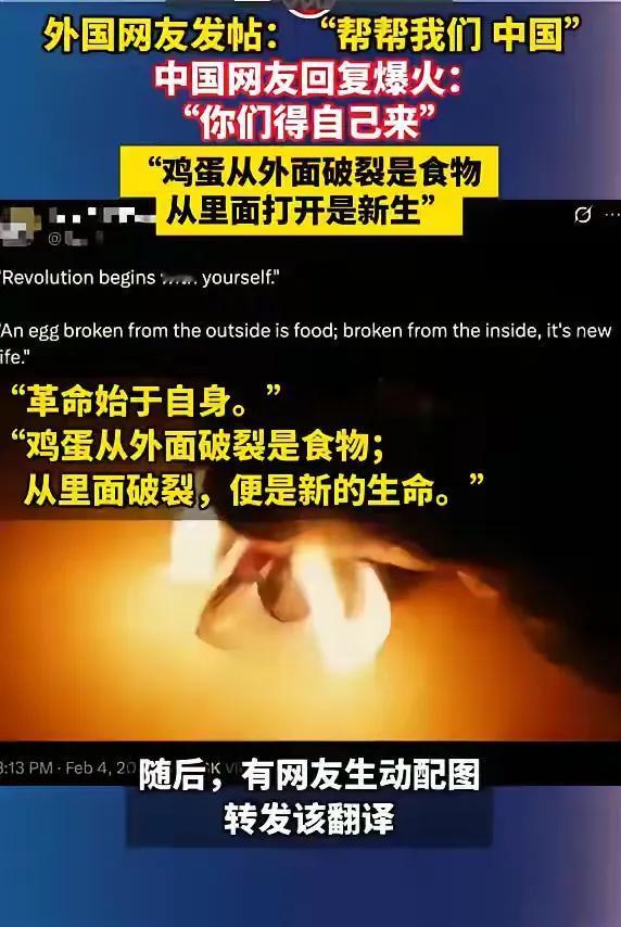 外国网友发帖：“帮帮我们，中国”，中国网友回复爆火：“你们得自己来”，“鸡蛋从外