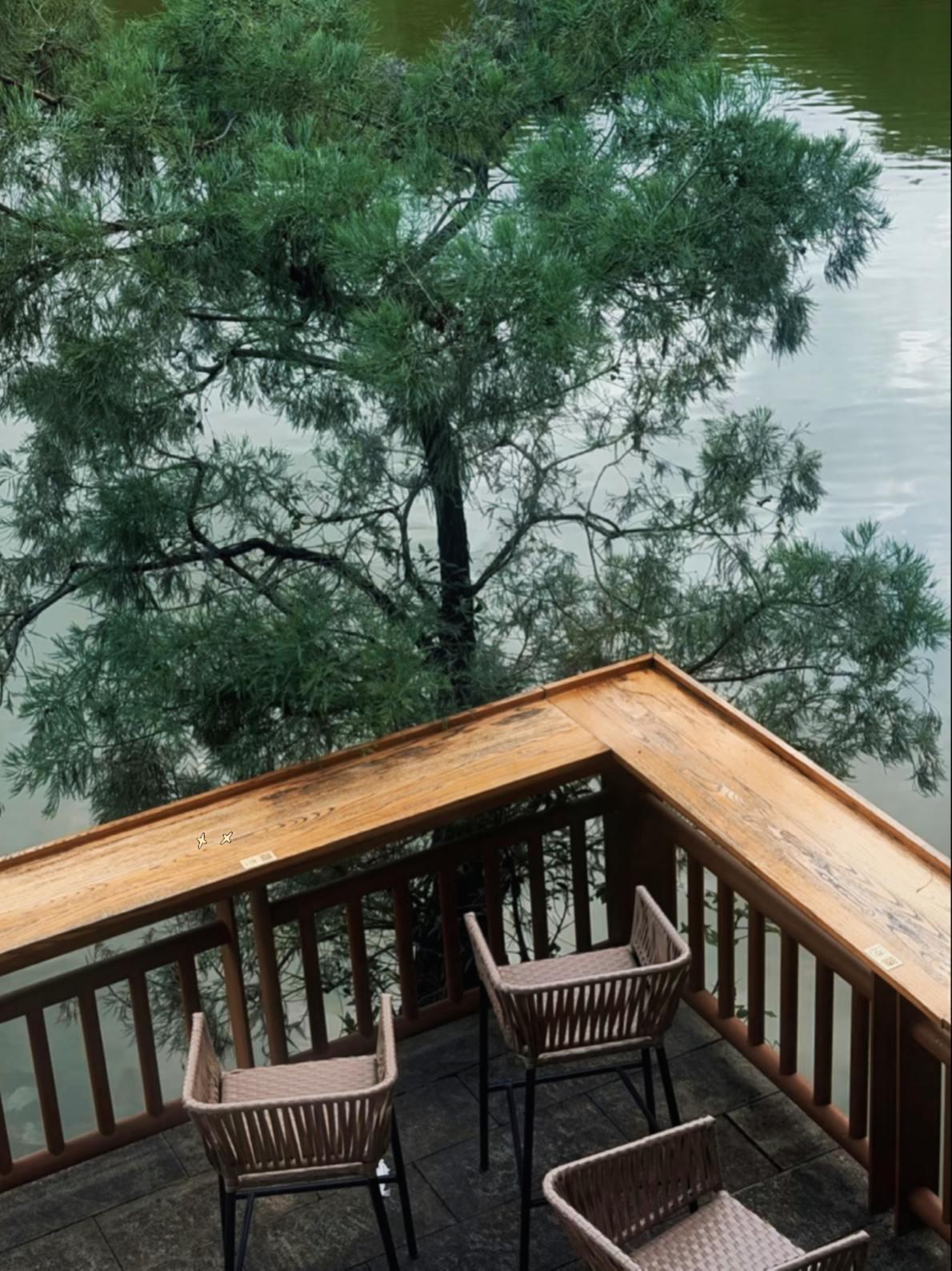 我愿意在番禺这个公园🌳浪费一整个下午番禺七星岗森林公园，免费入园🌳藏在