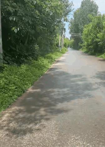 “这事真没法解释。”河北一男子骑行途中突遭大雨，正愁四处无处藏身，眼前出现的一幕