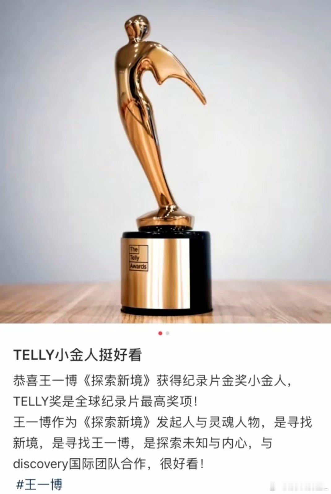 王一博探索新境获TELLY泰利奖纪录片金奖王一博探索新境获TELLY泰利奖纪录片