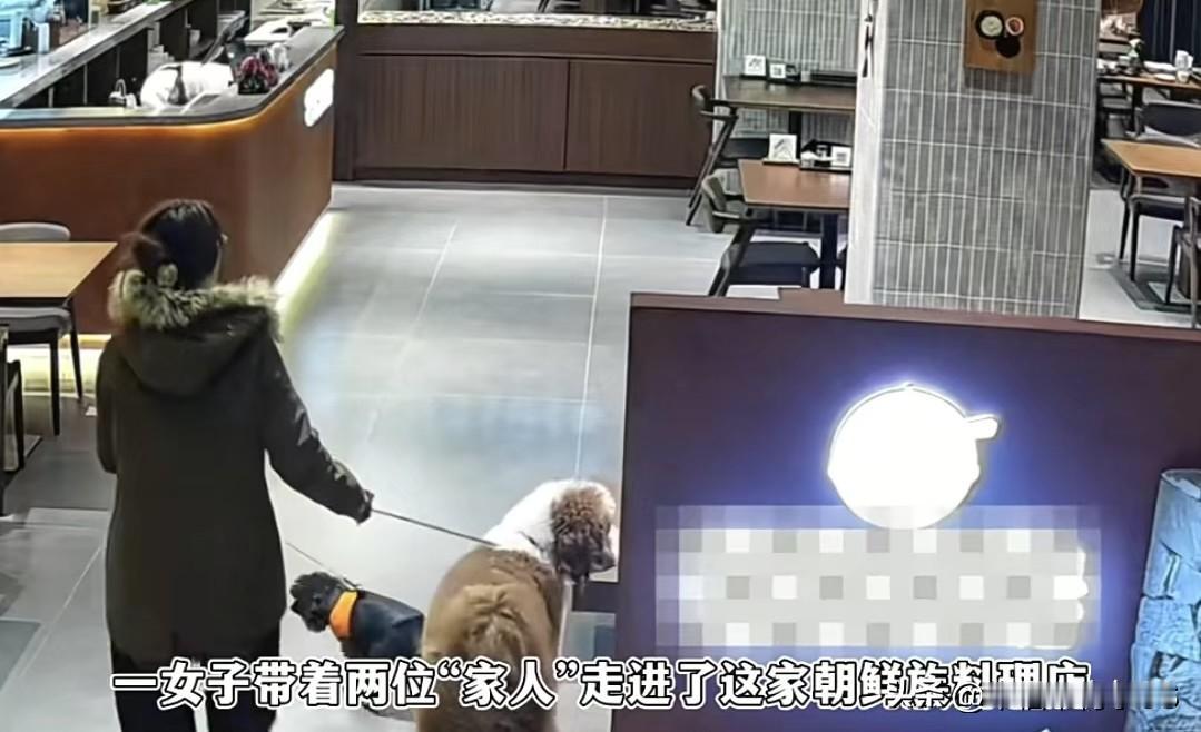 女子带狗吃饭被拒，写百字差评炫狗“皇室血统”，结果把老板生意带火了江苏有家