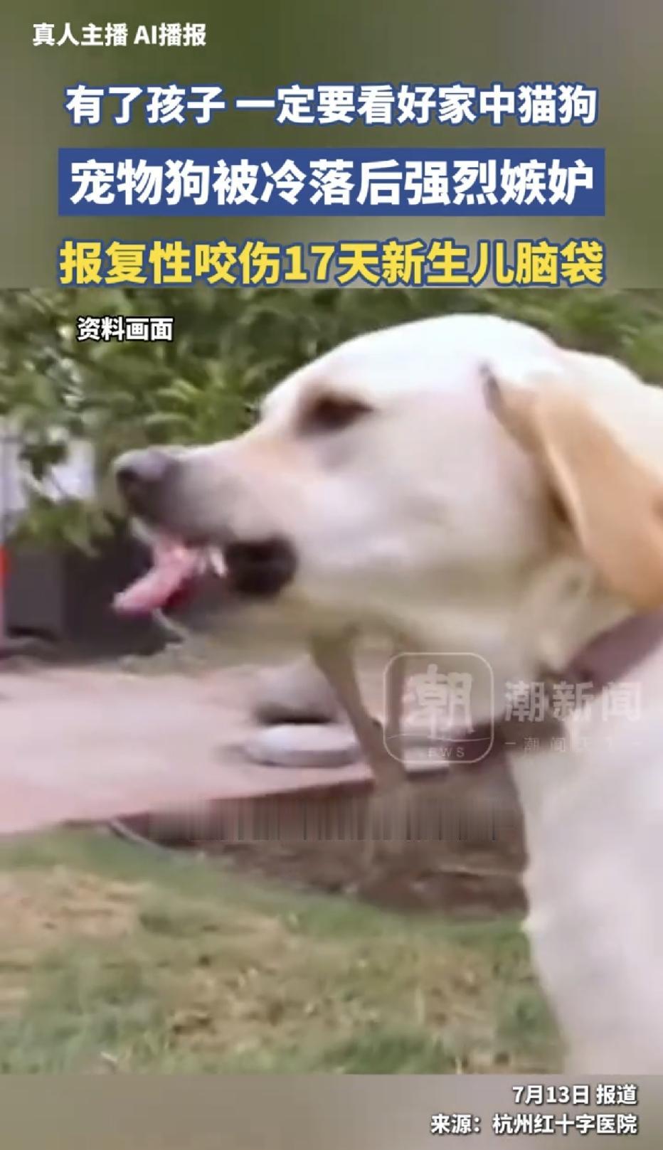“太颠覆认知了！”浙江，一对年轻夫妇养了一条宠物狗多年，平日里很是温顺，从来不会