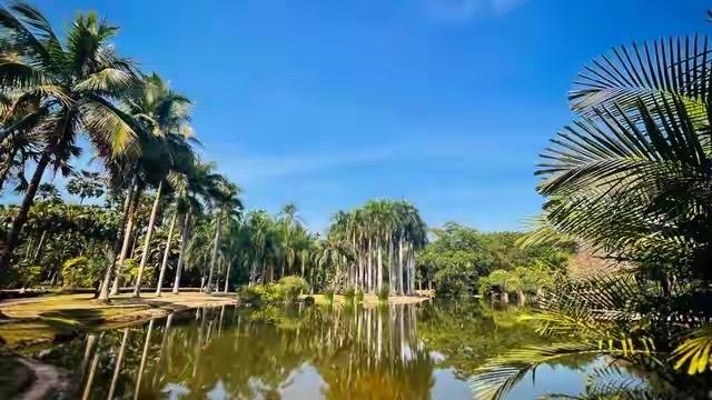 炸了！38年资深教师爆猛料：教育最坑的就是逼娃挤独木桥！从教38年，送走无数