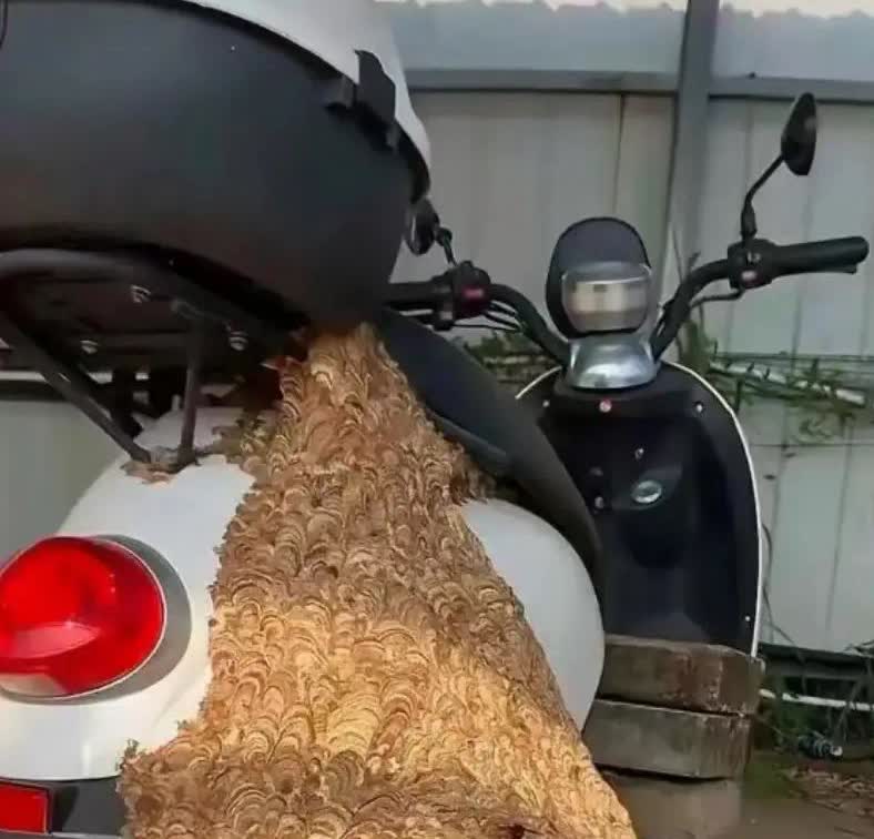 半年没骑，现在老值钱了