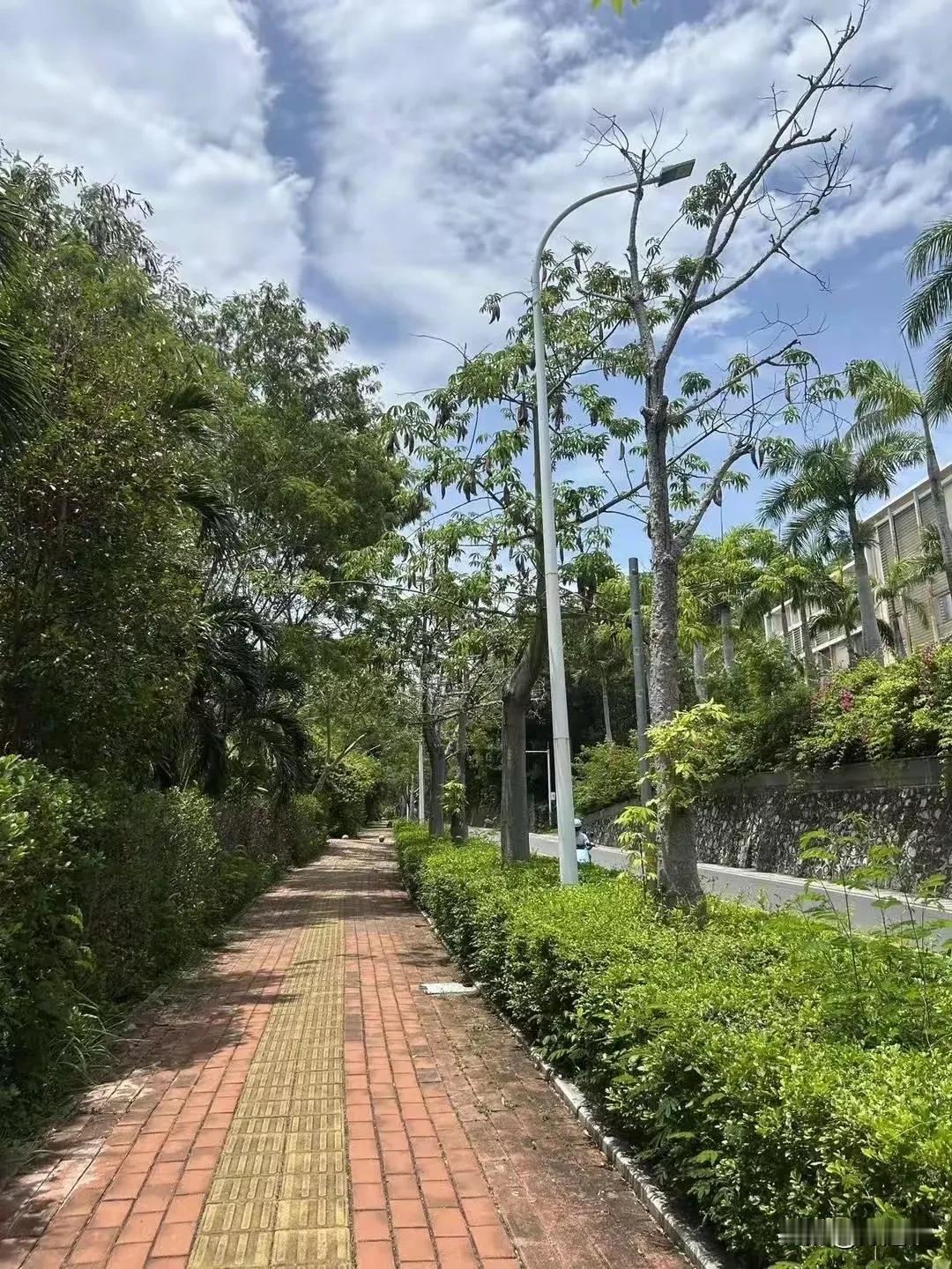 这个酒店也要完了！27岁被蛇咬亡的女孩，她和男友下榻的酒店，到现在都没有被曝光