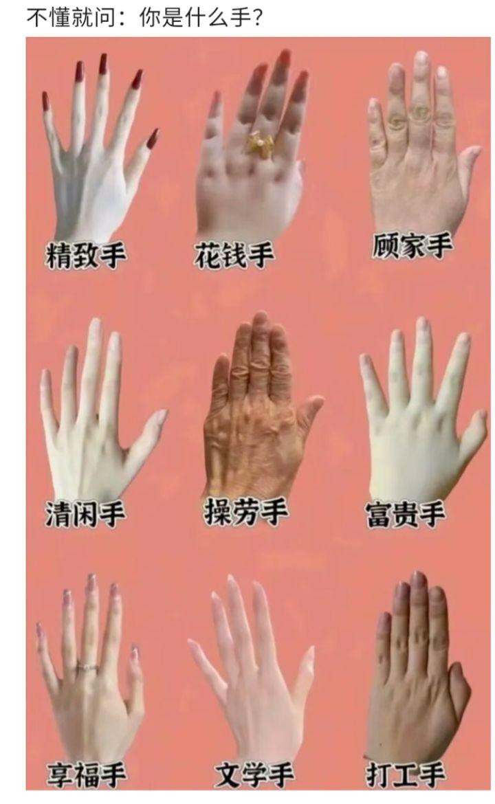 我看看富婆手长啥样