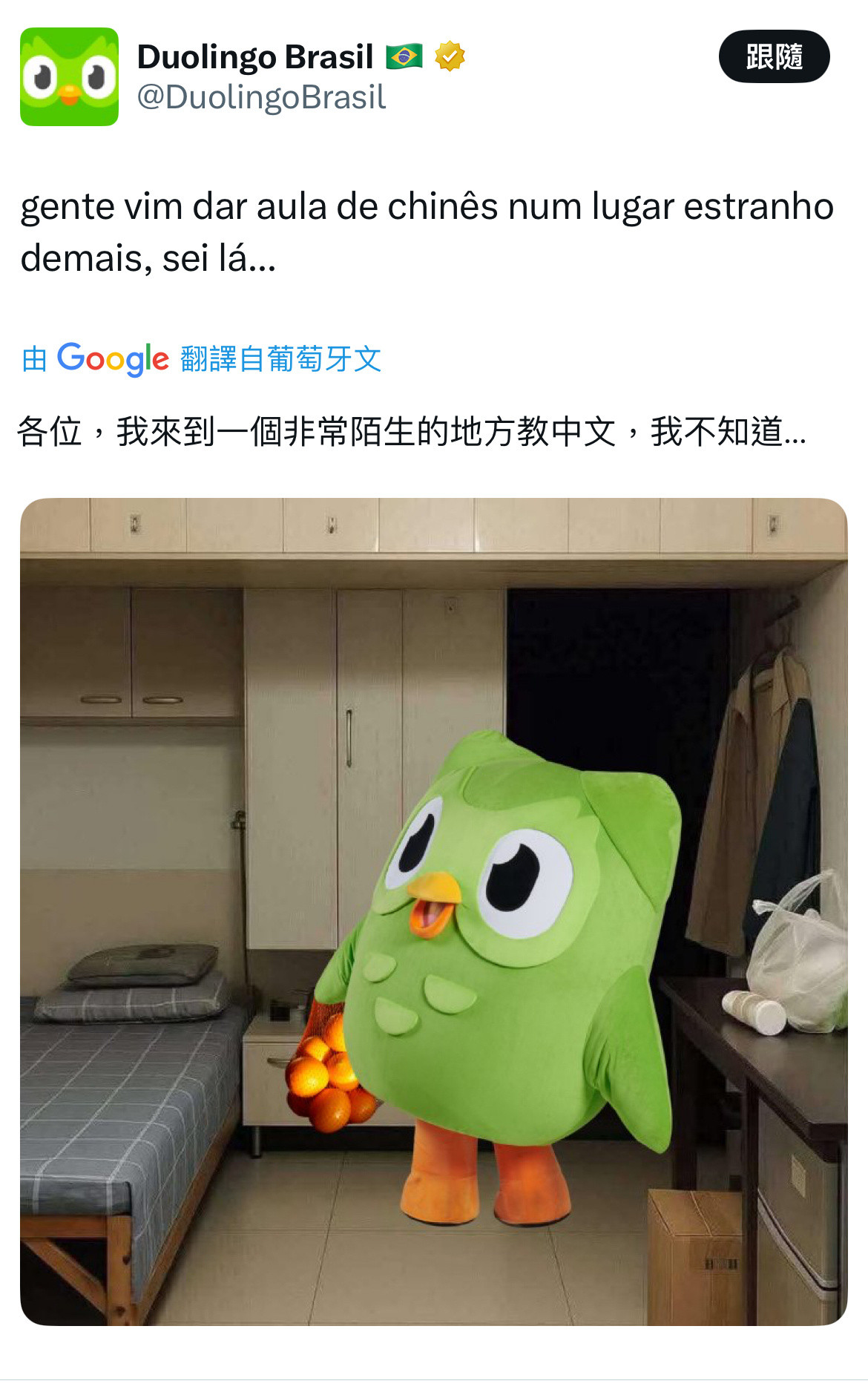 多邻国玩阿红梗🆘这个梗可能要到年底万圣节才能结束？​​​