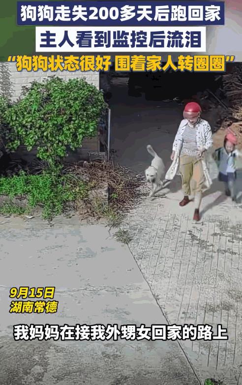 “这就是命啊！”9月15日，湖南常德，一女子接外孙女放学时，竟然在路上遇到了走丢