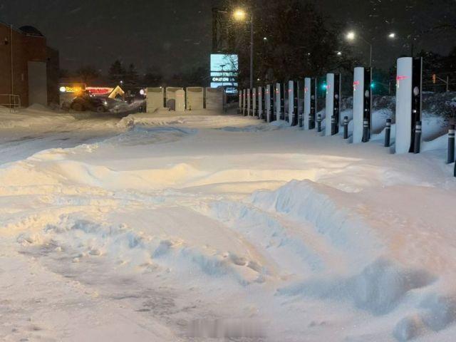 意志坚强的美国人。美国打了美国