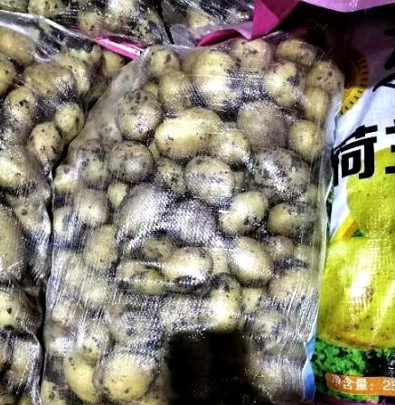 这事儿，把货车司机坑惨了！拉35吨土豆走绿通下高速，收费员检查后非说这是土豆