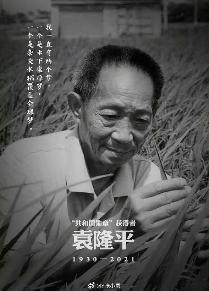 今天“杂交水稻之父”、中国工程院院士、“共和国勋章”获得者袁隆平诞辰96周年，缅