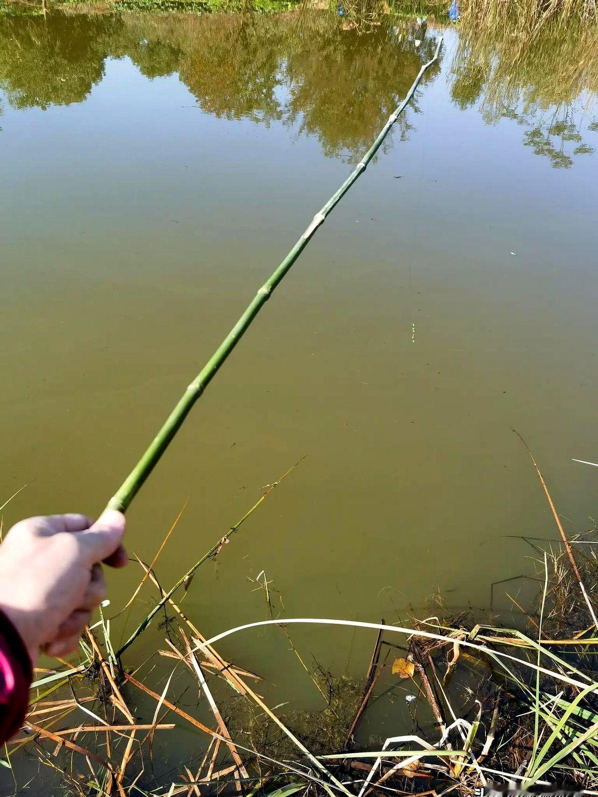 钓鱼这事，咋从不花钱玩到了千亿市场？那会儿钓鱼，那真是个技术活儿技术活儿。砍