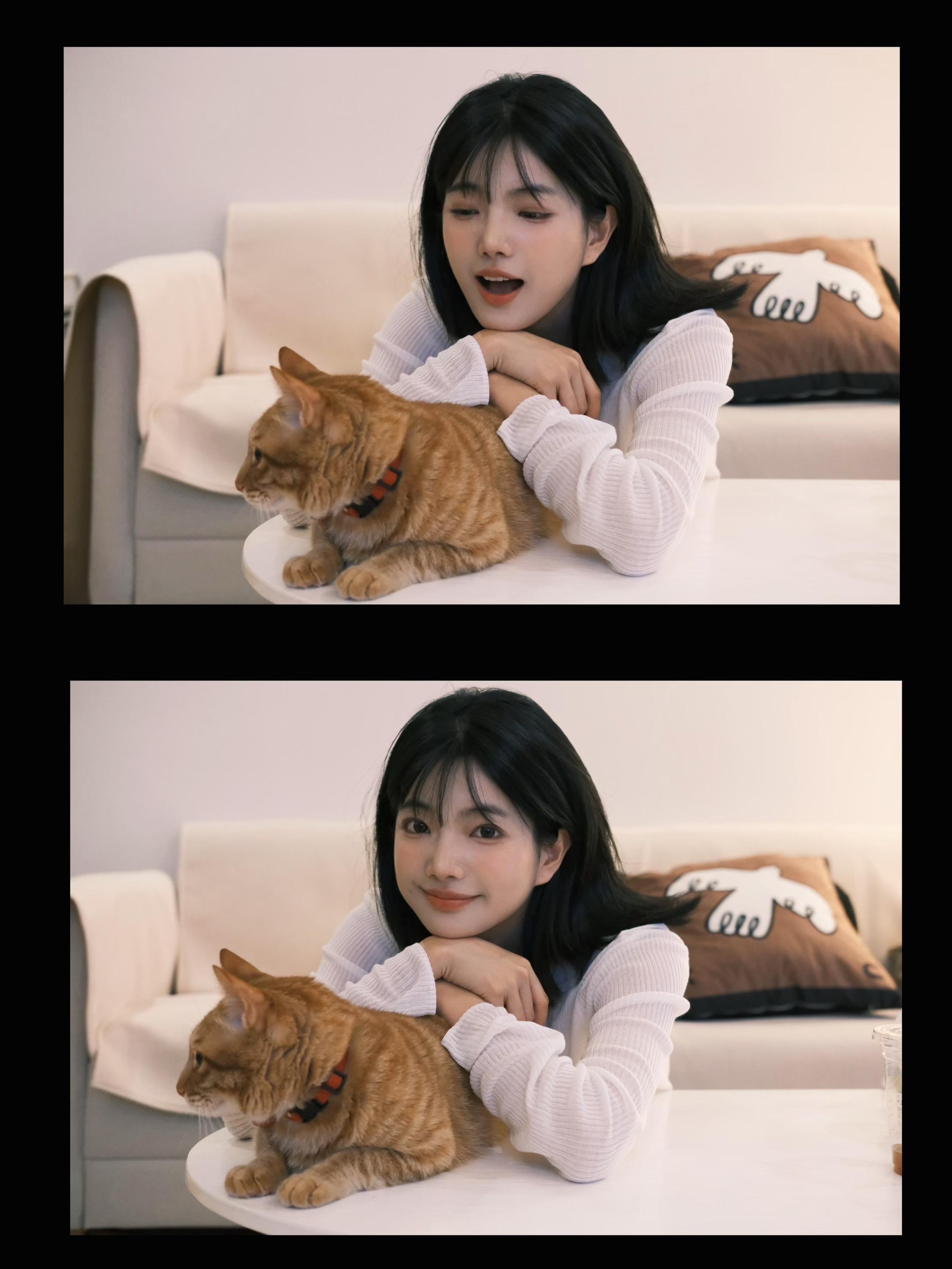 它好可爱₊˚ᯤ🍞˚ ༘🐈ˎˊ。