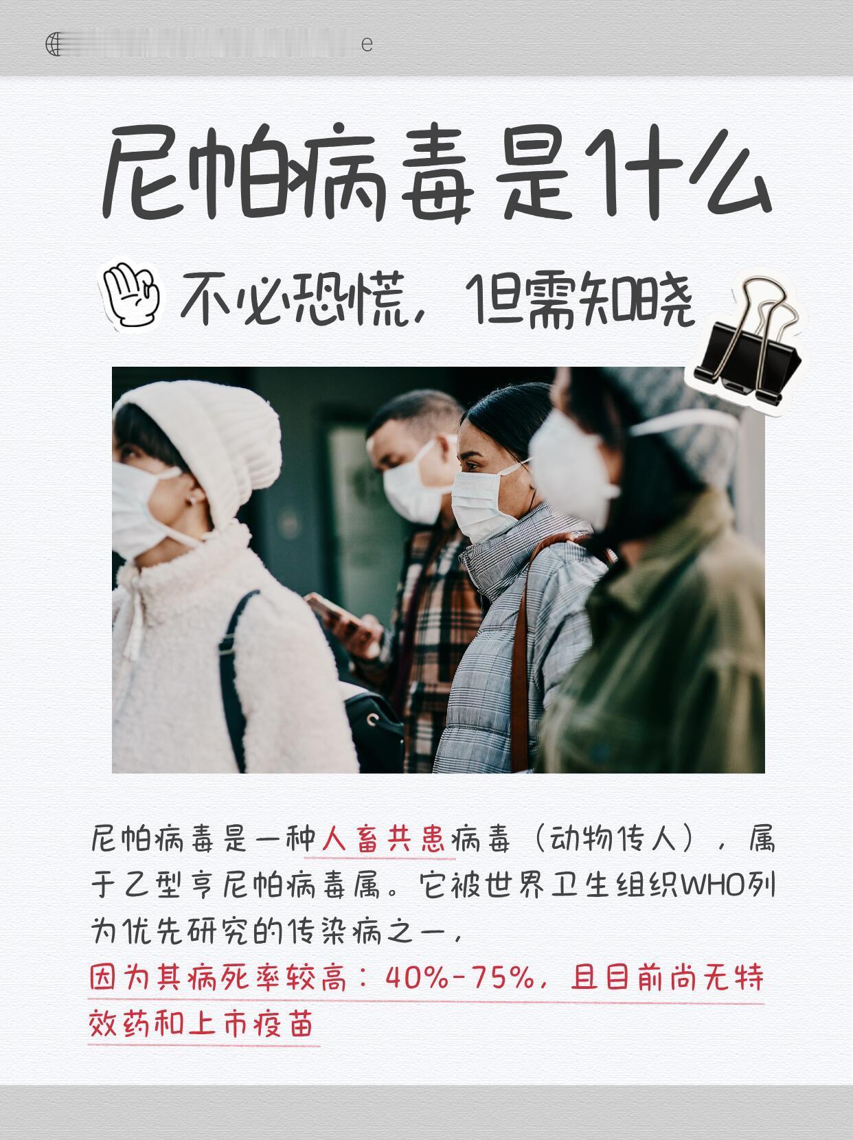 尼帕病毒是个挺危险的东西。它主要在动物和人之间传染，死亡率特别高，能达到40%到