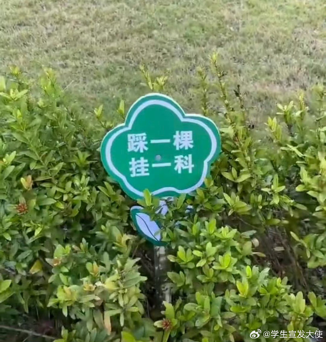 学校是懂拿捏大学生的……！！！