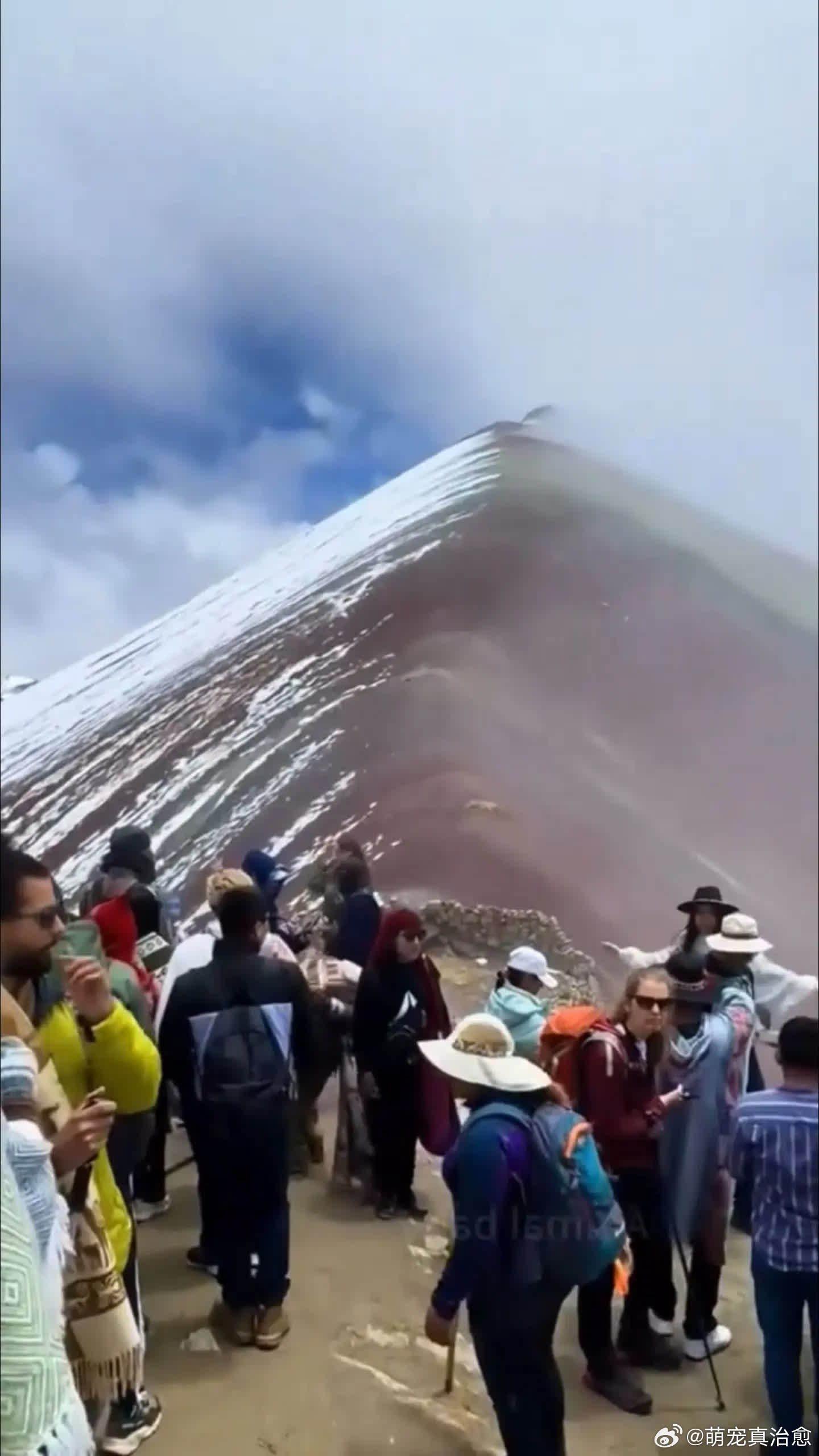 爬山被狗子拉爆……萌宠宠物
