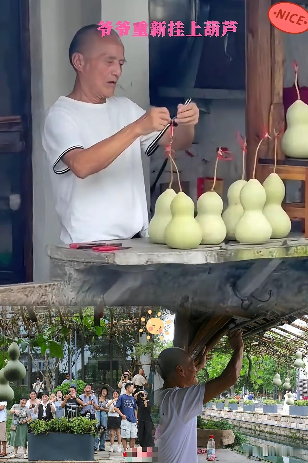 六天，仅仅六天，陈爷爷的葫芦就“二进宫”了。我蹲在路边琢磨，这剧情反转得比翻书还