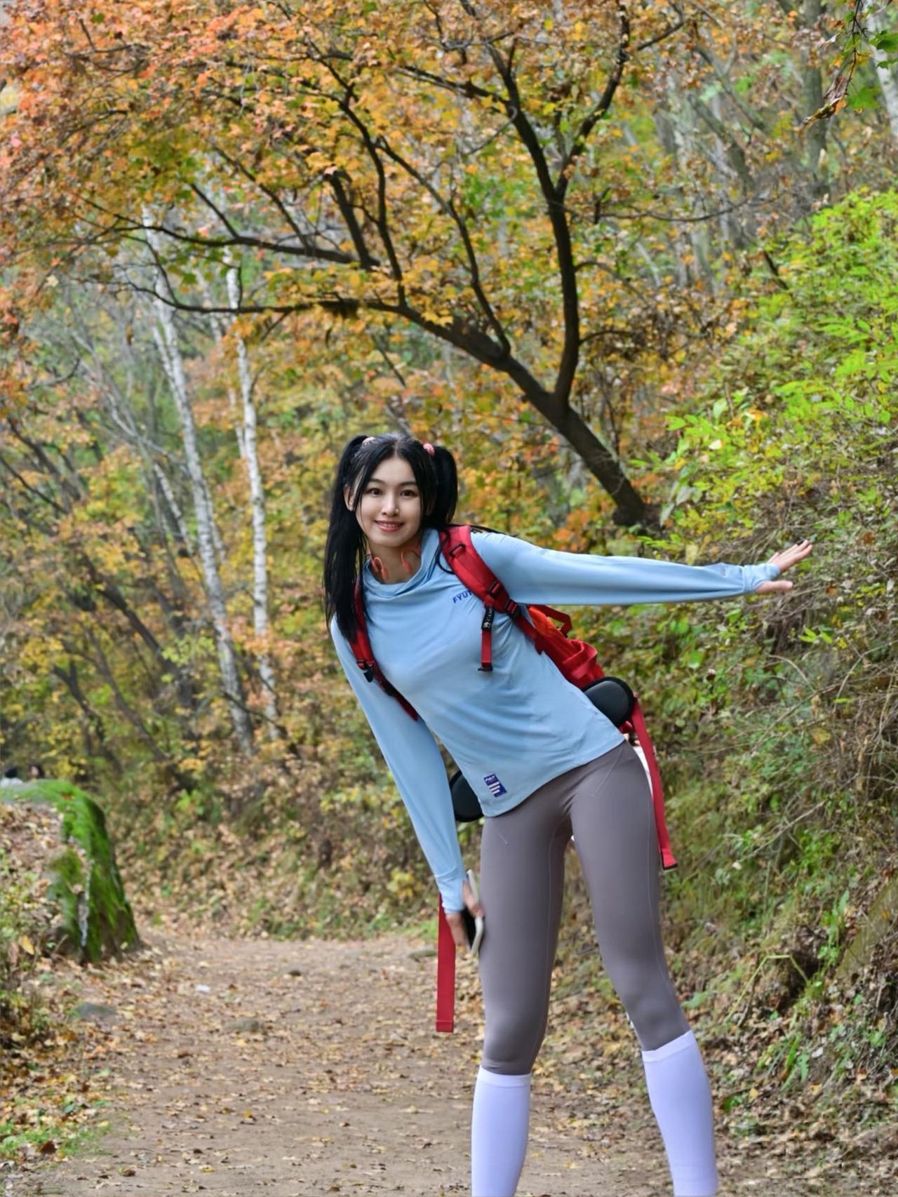 秋日森林漫步，享受自然之美！