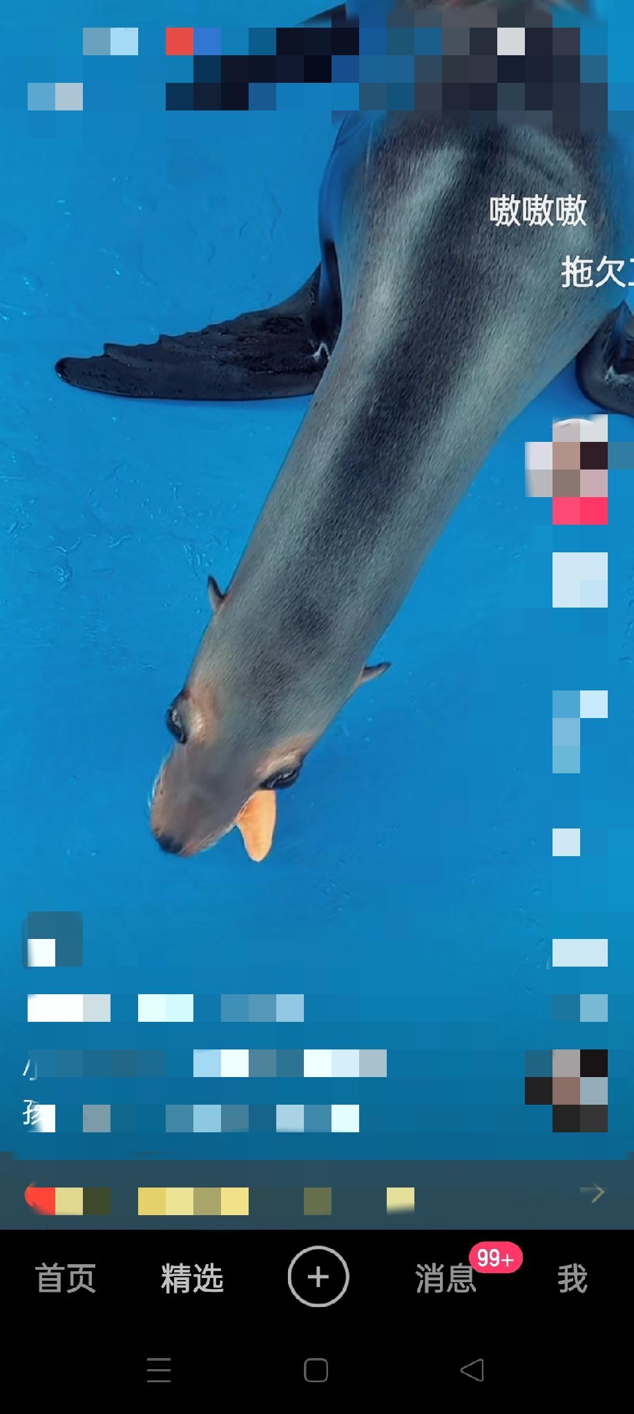 一个生物竟有如此多的外号！真让人服气。《冲不走的大便》《无法上吊之物》《上钩拳免