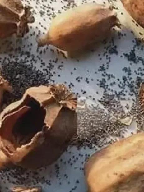 这孩子是真坑爹啊！银川一个十岁男孩，没做完作业，被爸爸严厉训斥，愤怒的男孩打