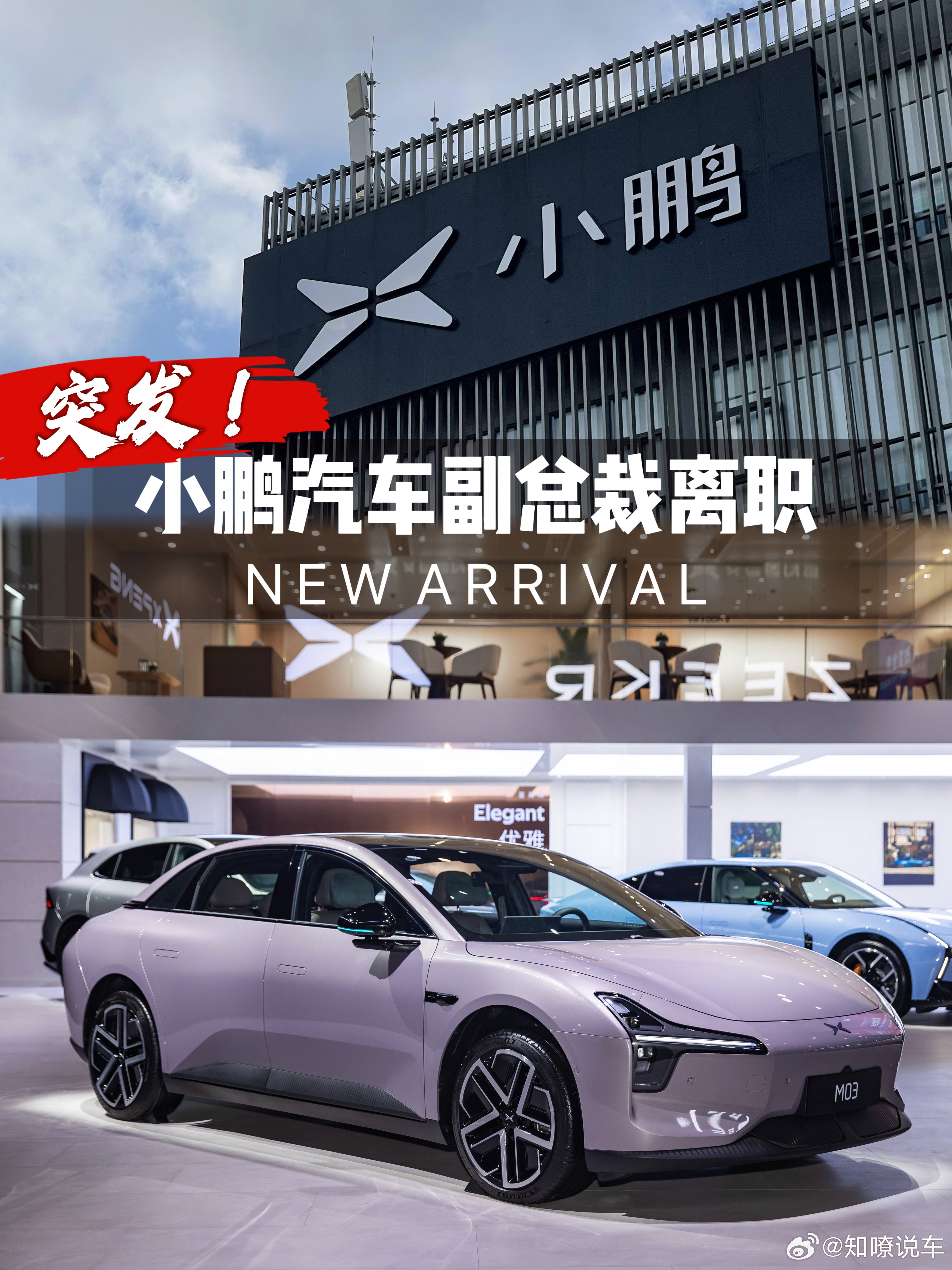 小鹏汽车副总裁出走，小鹏汽车更名，何小鹏野心藏不住了？3月份新势力销量榜单排出来