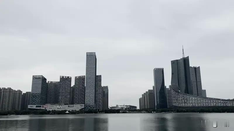 合肥的崛起堪称“弯道超车”的典范，对河南其他城市有不少启示。合肥抓住了新兴产业机