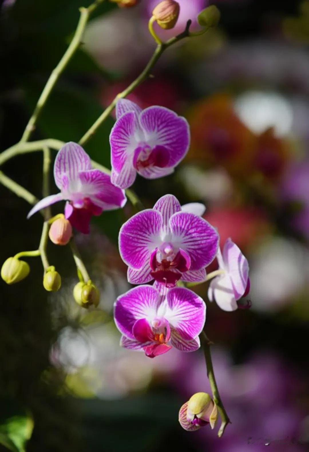 一位社会学家说:“钱和女人比，钱才是最难搞到的，女人真不是什么稀缺资源。如果有一