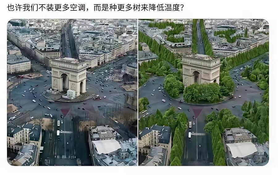 欧美擅自种树是会被举报的！