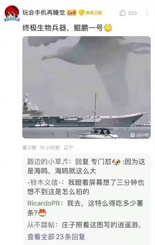 这才是最终决战兵器