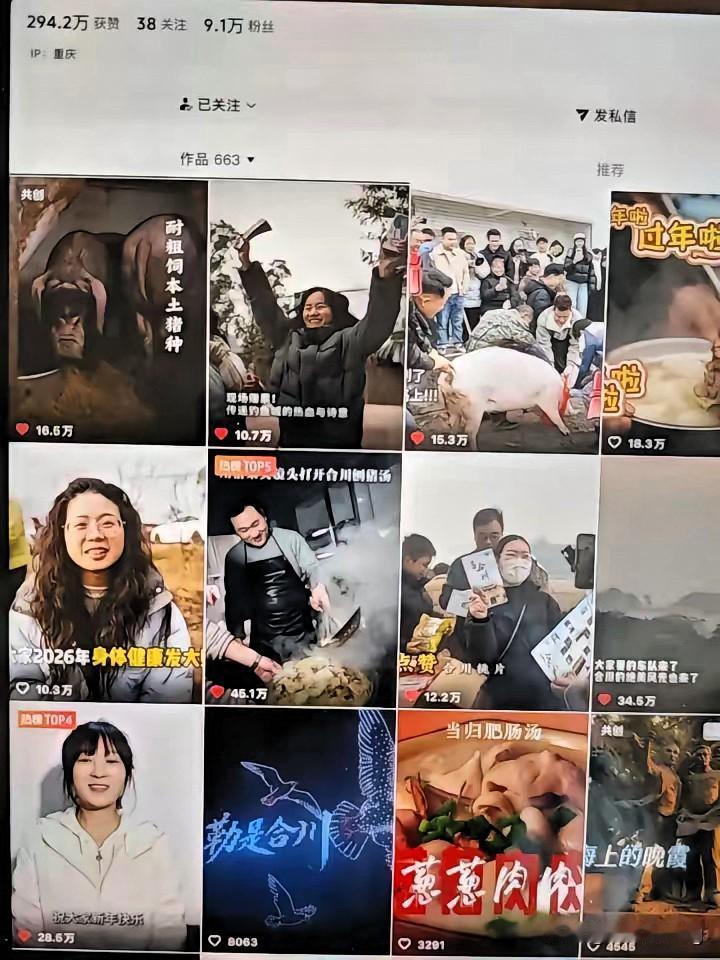 合川文旅十年攒100万赞，一个呆呆一天狂揽190万，这波流量密码藏不住了！不