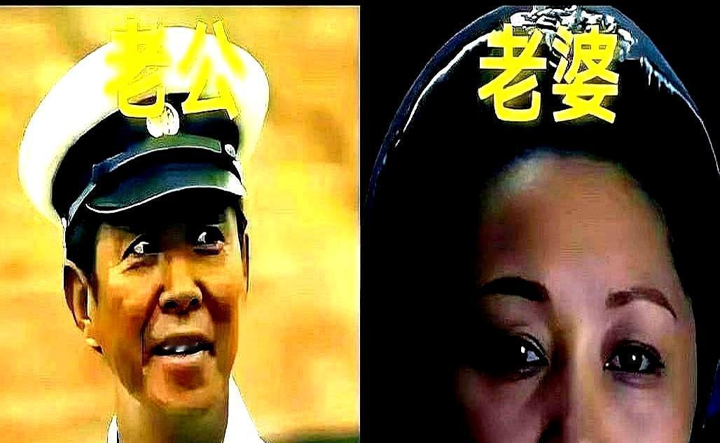 《父母爱情》剧组藏着一个残酷真相：人脉是入场券，但实力才是通关文牒。王永泉一家