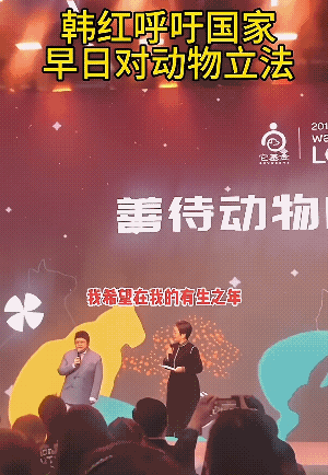某慈善家最近公开呼吁动物立法，说什么盼着有生之年看到狗和人一样被平等尊重，这样国