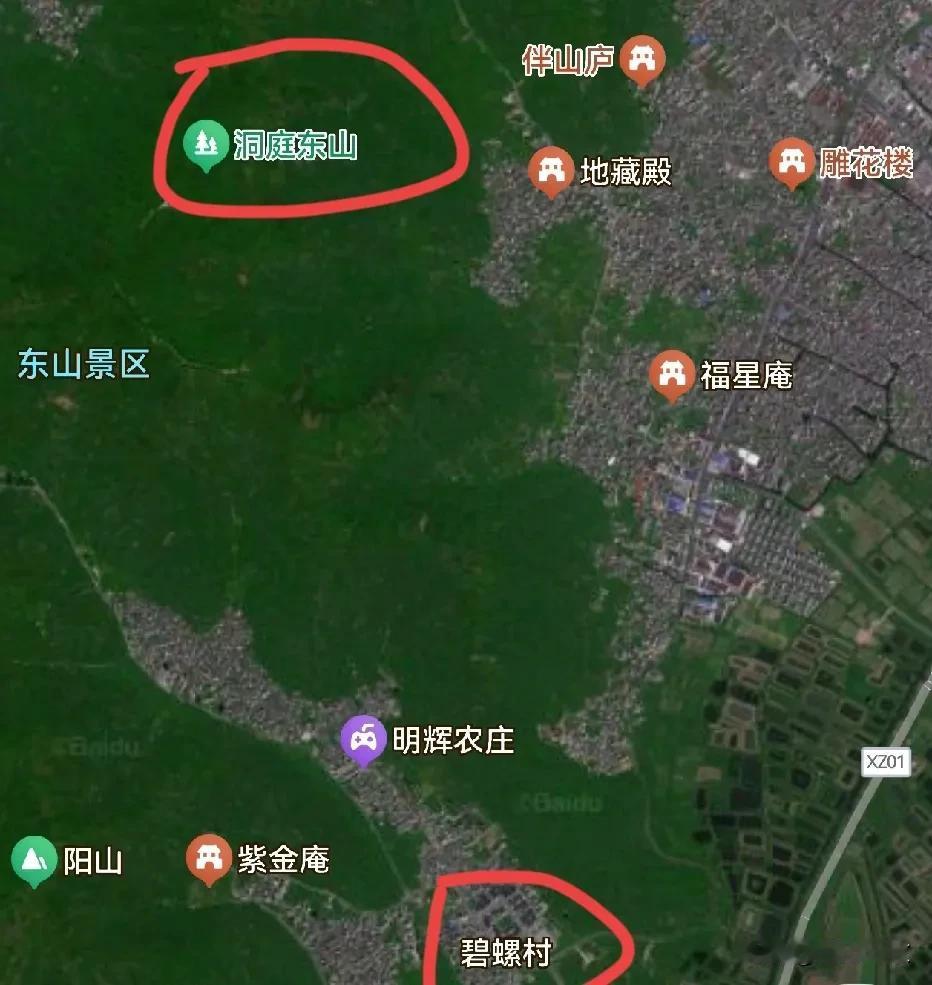这几天北京酷暑难耐，单位又发避暑降温茶了，是碧螺春。我说原来湖南也出茶叶啊！结果