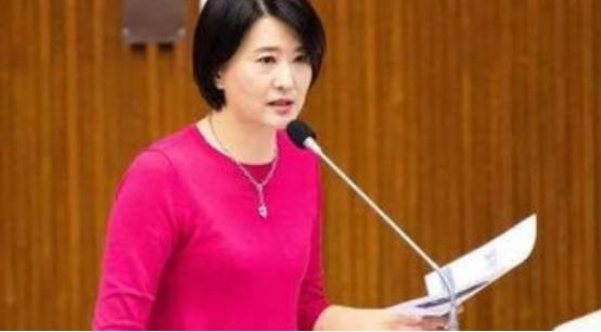 大跌眼镜！国民党立委王鸿薇放出惊人说法。近期台海局势持续紧绷，国民党籍民意代
