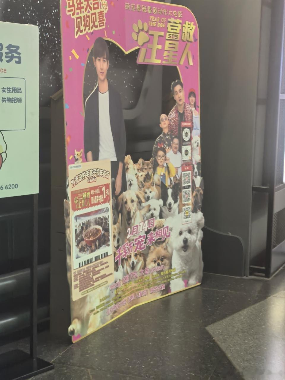 汪星人电影院立牌，老呃超一番大男主，狗狗们c位。