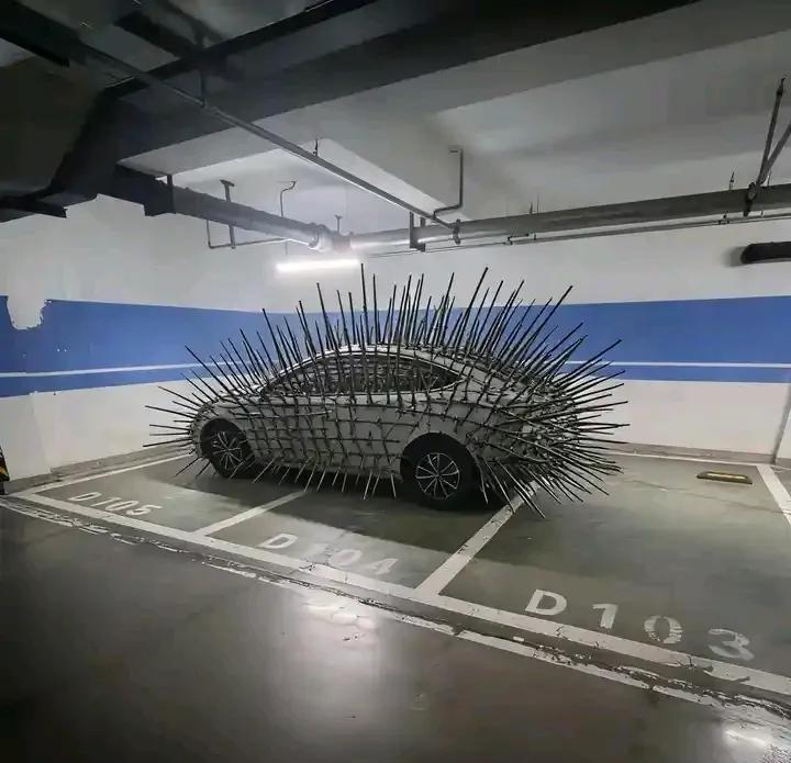 没见过“刺猬车”长啥样？来，今天就让你开开眼。这个地下车库的D103、D104