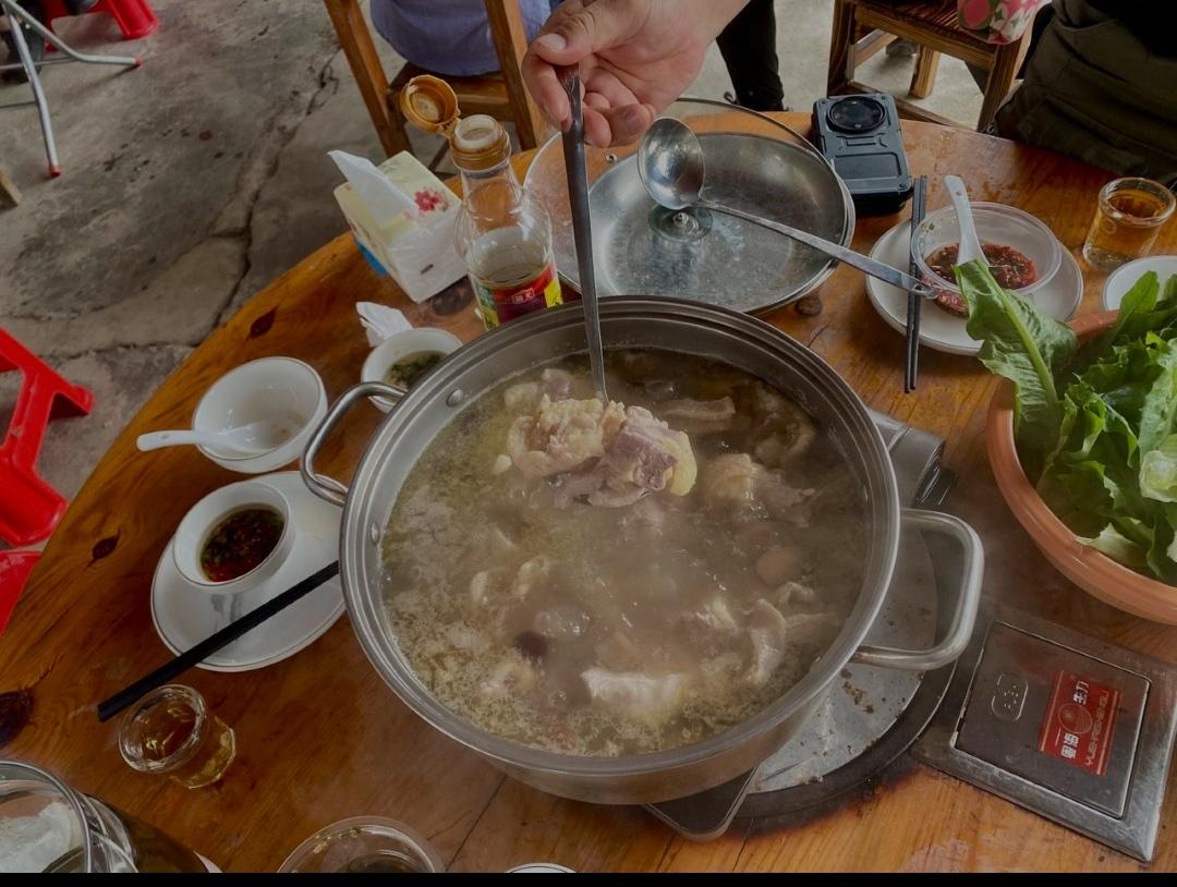 千万别盲目跟风莫氏鸡煲，佛山已有群众误吃断肠草中毒！🔥最近"莫氏鸡煲"爆