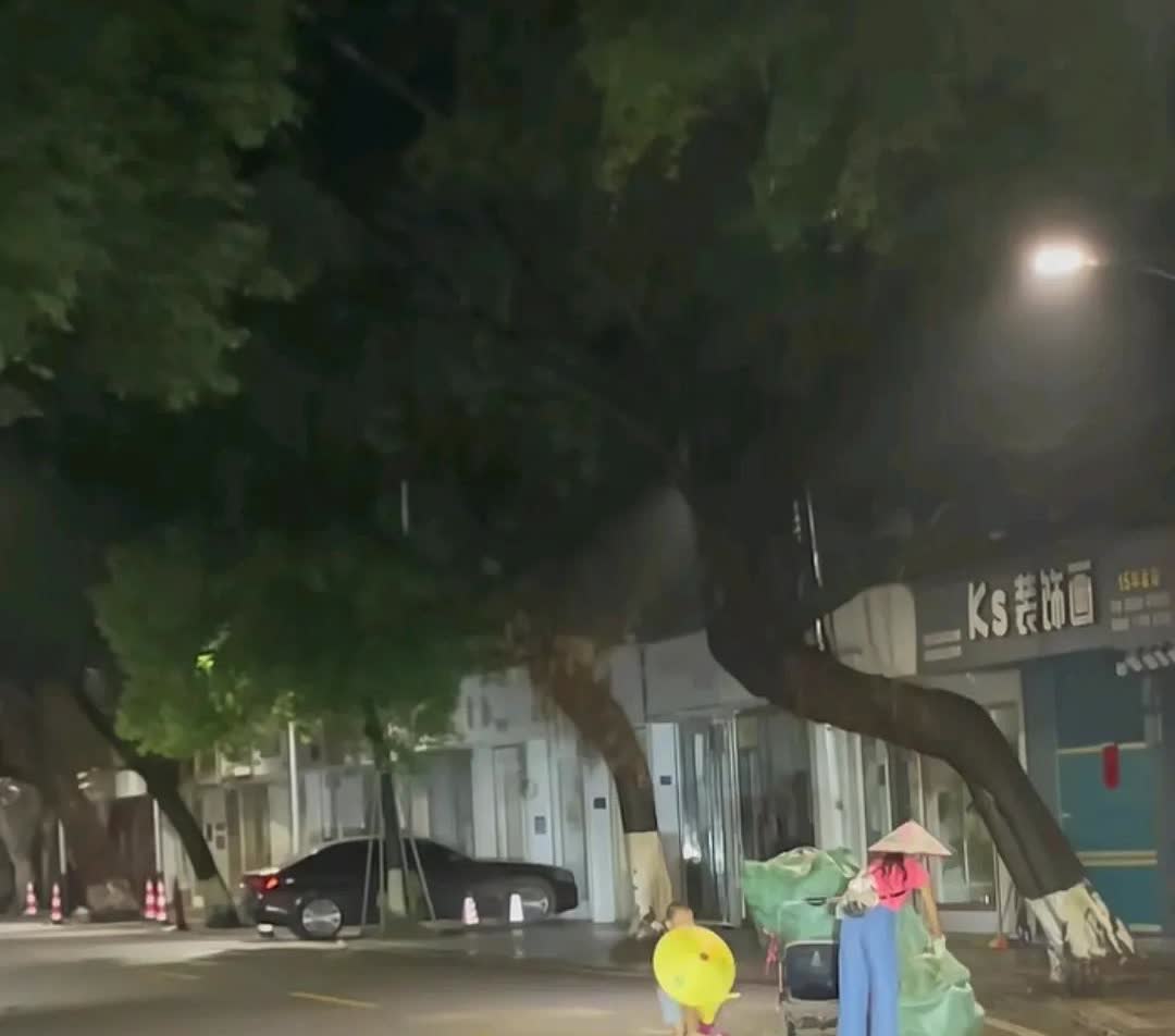 凌晨3点，刚下过雨的街头，一对母子正在捡瓶子，孩子拿着帽子安静的陪在妈妈身旁，不