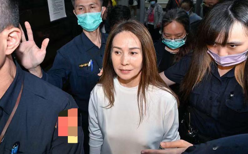 高金素梅案办公室主任利春仁认罪无党籍立委高金素梅今年2月被检方搜索，后以1