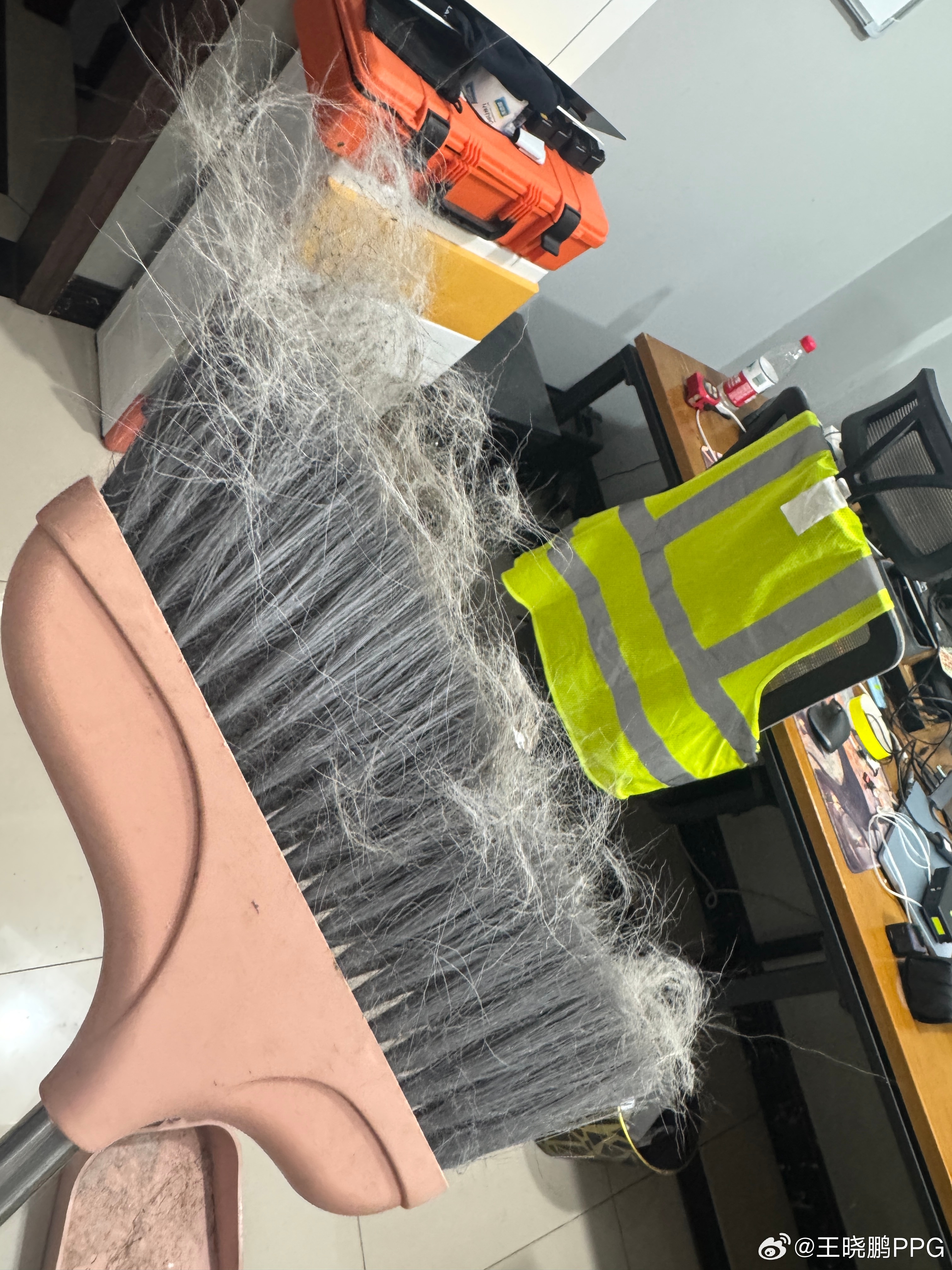 一张图证明你养的是陨石边牧