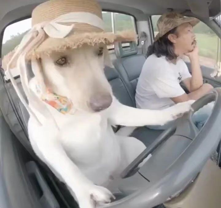 对你的人生毫无意义的图片九则​​​