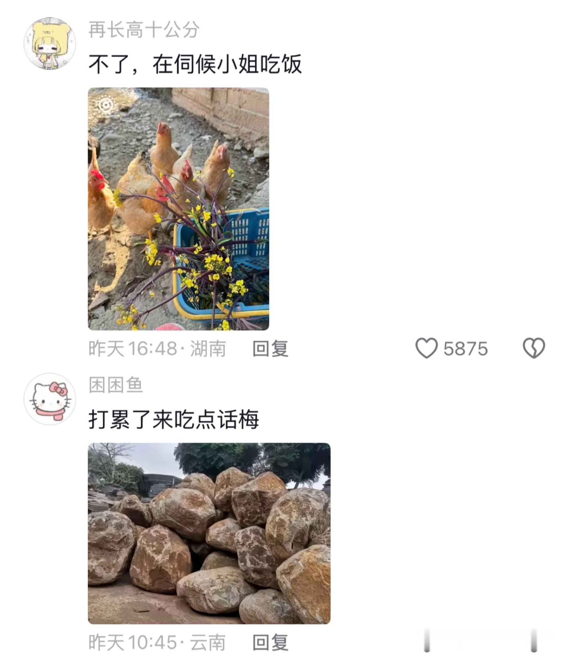 服了！中国人真的没有接梗瓶颈期吗哈哈哈哈哈哈