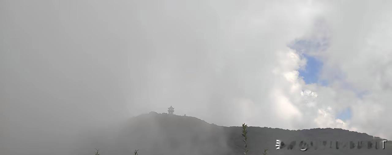 现在挣钱简直太难了周六，想着没事，就去跑了一天顺风车！总共接了七单，三个来回