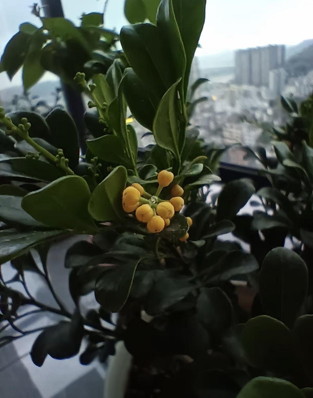 三个手指头数得完的年轻人，老板说只要35岁以下，厂长回怼：你数得清螺丝，数得清老